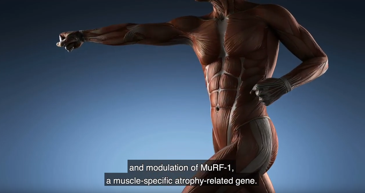 How bioelectronic technology can push back muscle atrophy in the ageing