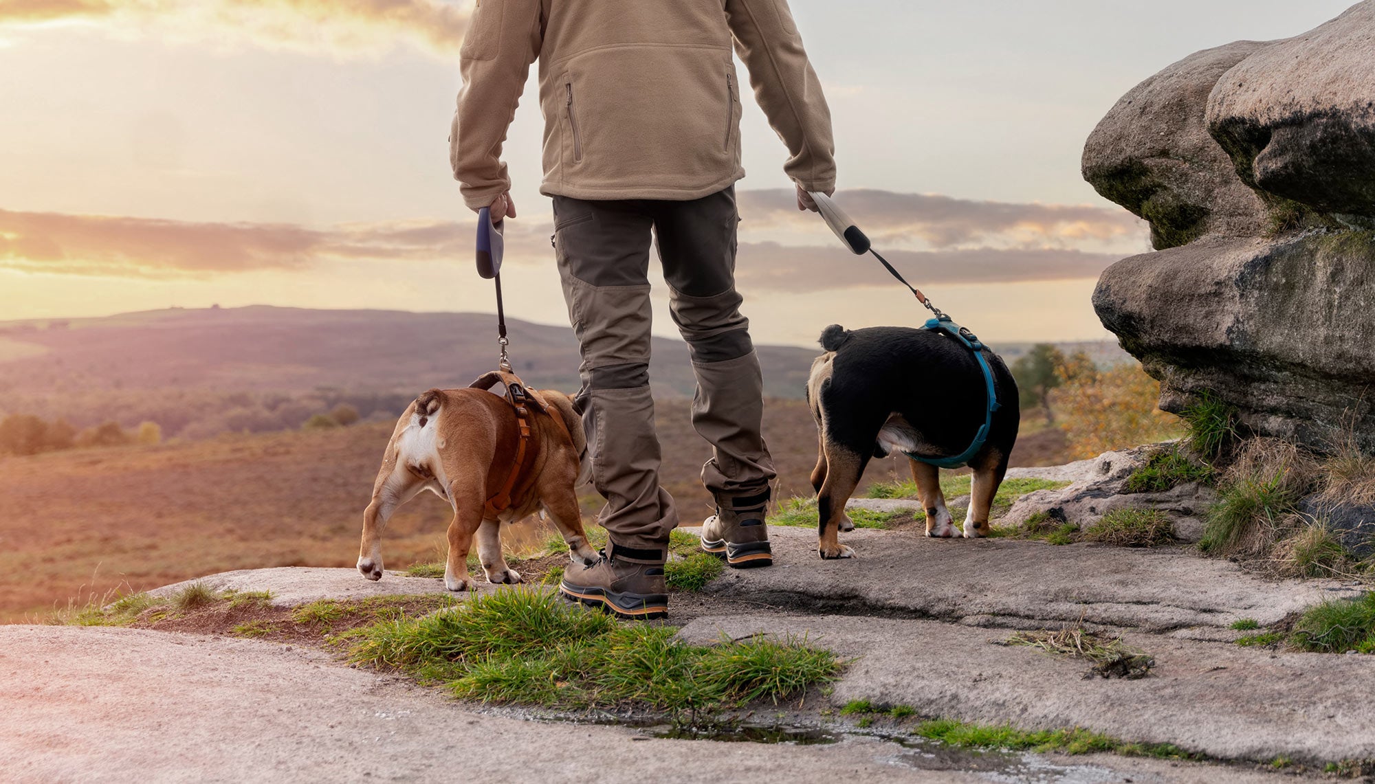 Walking the dogs again after severe back pain | Case Study